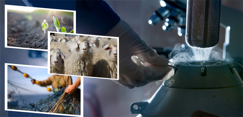 1.1 MİLYAR LİRALIK DESTEKLEME ÖDEMESİ HESAPLARA AKTARILIYOR