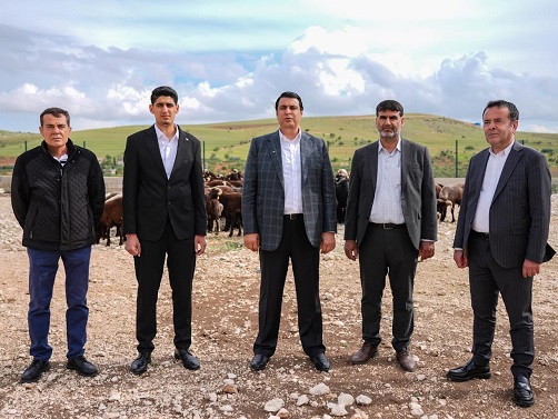 MOR KOYUN 305, VAN BEYAZI 320 TL