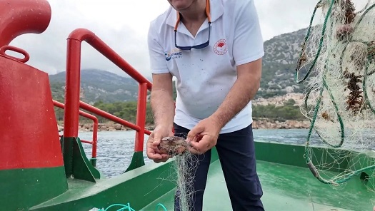 Vali Hulusi Şahin Deniz Temizliğine Katıldı! Antalya’da 500 Metre Hayalet Ağ Çıkarıldı