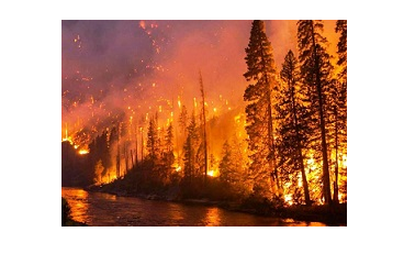 Altınova İtfaiyesi’nden Orman Yangını Uyarısı 