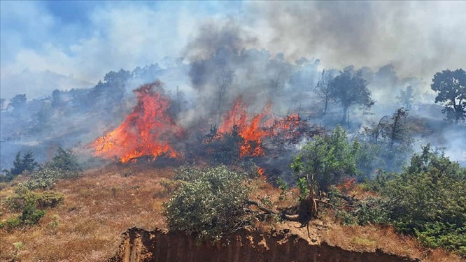  Bingöl’ün Genç ve Kiğı ilçelerindeki 2 bölgede çıkan orman yangınlarına itfaiye, Orman İşletme İl Müdürlüğü ve jandarma ekipleri müdahale ediyor.