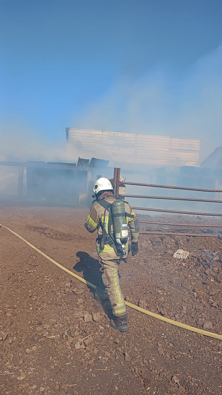    İzmir Büyükşehir Belediyesi İtfaiyesi Yeni Şakran ve Urla’da çıkan iki yangına birden müdahale ederek söndürdü.