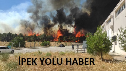 Gaziantep Üniversitesi’nin ormanında yangın çıktı