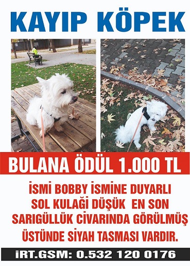 BOBBY BULANAN 1000 TL ÖDÜL