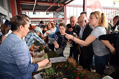 YALOVA’NIN ATALIK TOHUMLARI BURSA’DAKİ  ‘TOHUM FESTİVALİ’NDE TANITILDI