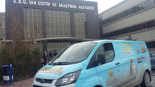SOKAK HAYVANLARI  İPEKYOLU'NDA MUTLU