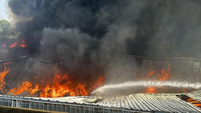 Bursa'da geri dönüşüm fabrikasında yangın çıktı!