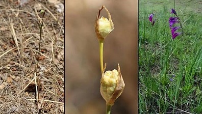 Adana’da keşfedilince kentin     mitolojik ismi verildi!