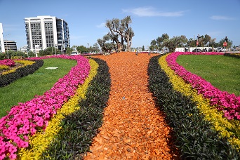 Antalya’da 2 milyon yazlık  çiçek toprakla buluşuyor
