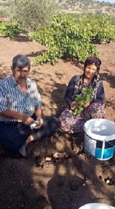 MUSABEYLİ'DE KAZA 2 ÖLÜ