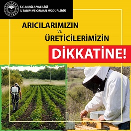 65 YAŞ ÜSTÜ ARICILARLA İLGİLİ DÜZENLEME