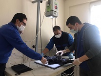 Geçici Hayvan Bakımevi’nde Yaralı Kargaya Operasyon