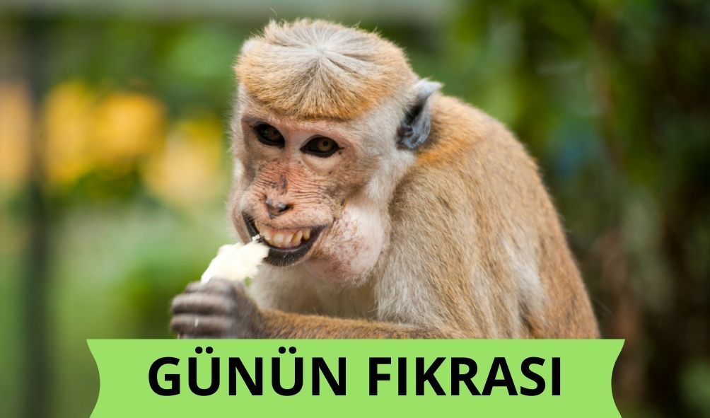 Günün Fıkrası: Erdal İnönü