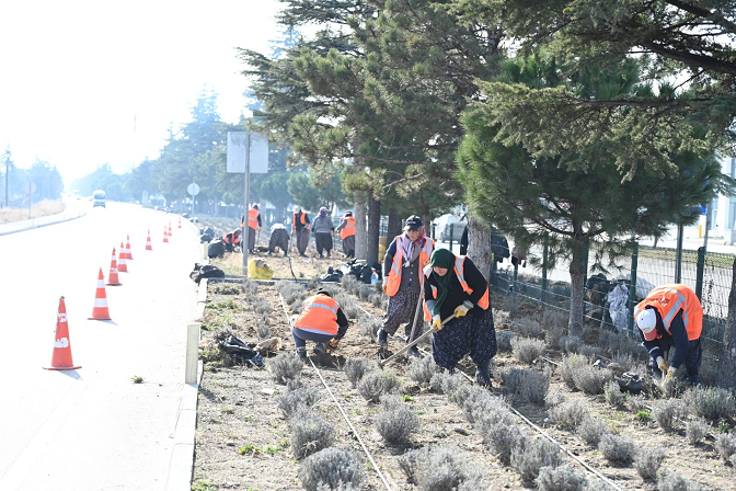  Isparta Belediyesi Park ve Bahçeler Müdürlüğü kış döneminde bakım çalışmalarına ve yeni bitki dikimlerine devam ediyor. 